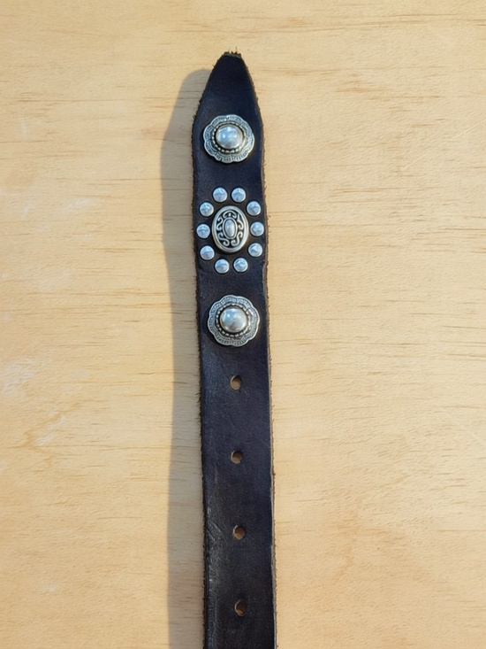 Campomaggi Leather Studded Belt in Moro main image 3